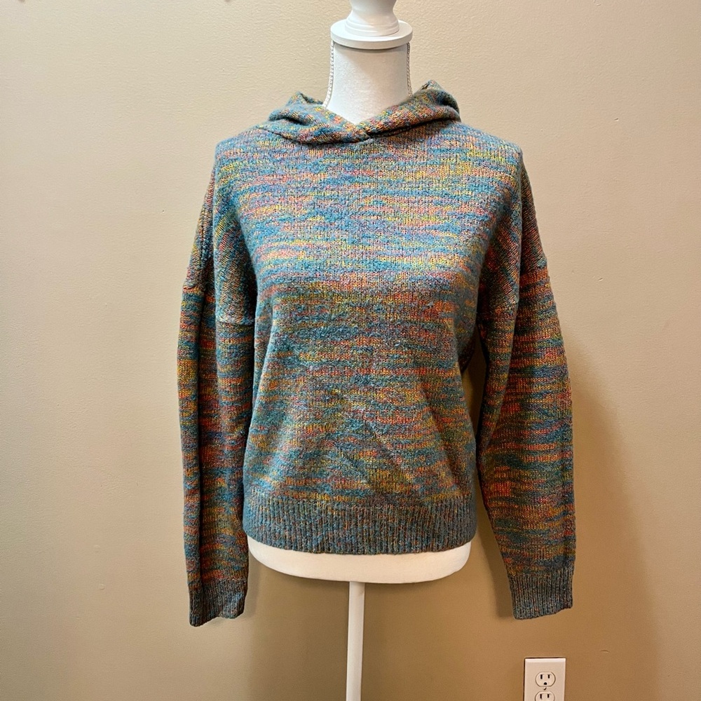 Ivory Ella Rare Multicolor Hooded Sweater Size Small